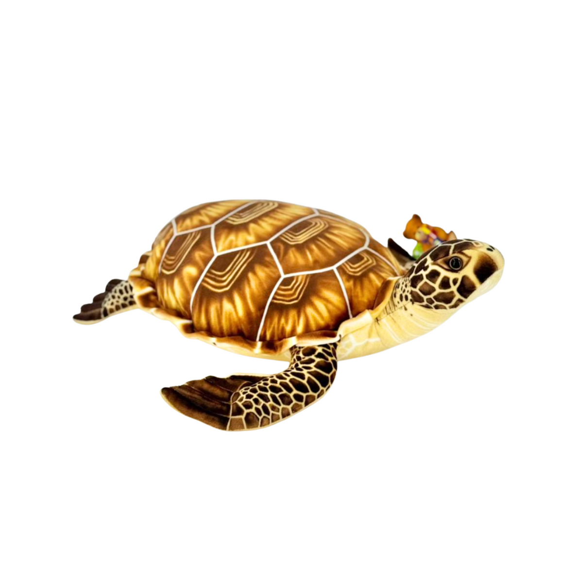 Tartaruga - 35cm