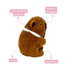 Capivara de Pelúcia - 21cm