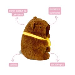 Capivara de Pelúcia - 21cm