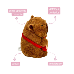 Capivara de Pelúcia - 21cm