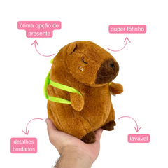 Capivara de Pelúcia - 24cm