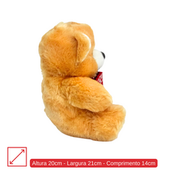 Urso com Plaquinha Meu Amor - 20cm
