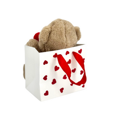 Urso com Coração na Sacolinha - 23cm