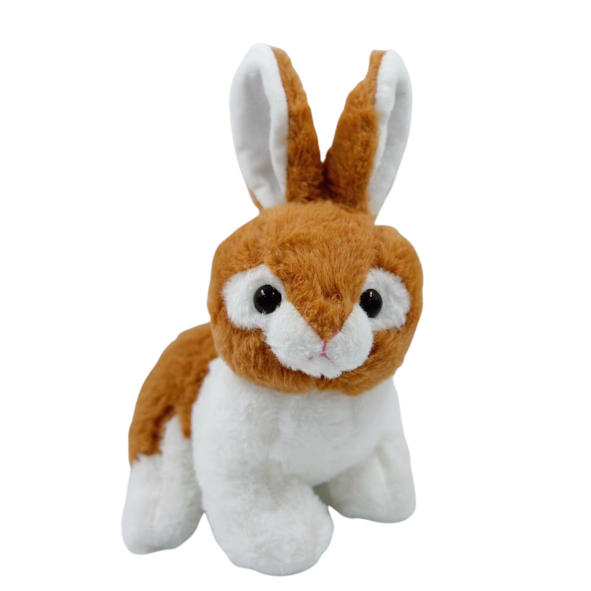 COELHO - 24cm