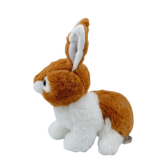 COELHO - 24cm