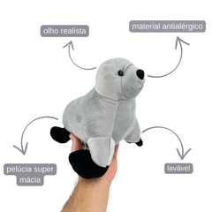 Foca - 21cm